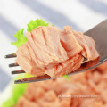 Tuna peixe em pedaços enlatados de óleo com halal